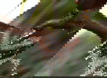 体育数据科学课程